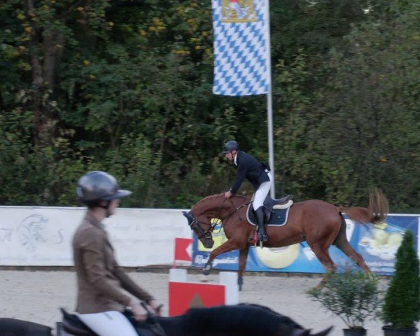 Reitturnier Karlsfeld/Obb. 2024