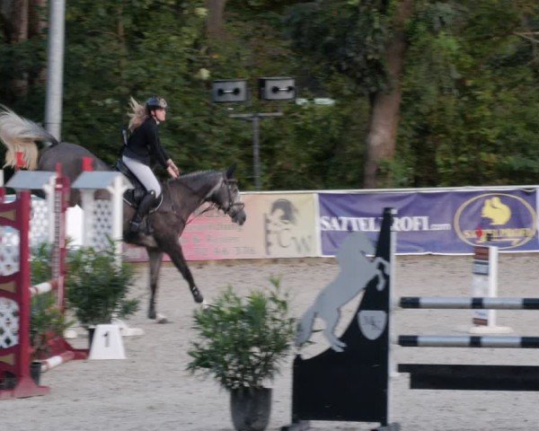 Reitturnier Karlsfeld/Obb. 2024