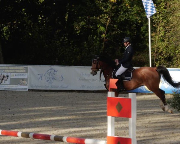 Reitturnier Karlsfeld/Obb. 2024