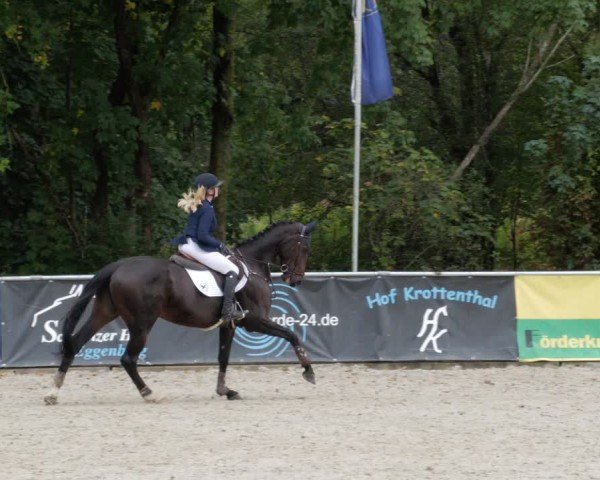 Reitturnier Karlsfeld/Obb. 2024