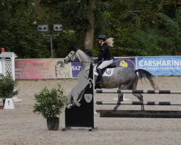 Reitturnier Karlsfeld/Obb. 2024
