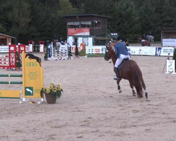 Reitturnier Ranshofen - Braunau am Inn 2024