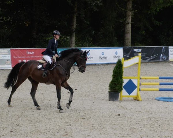 Reitturnier Karlsfeld/Obb. 2024