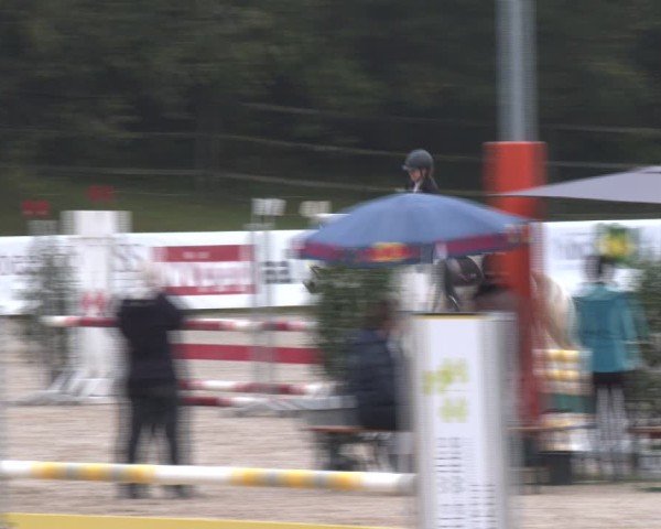 Reitturnier Igls 2024