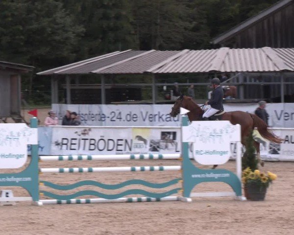Reitturnier Ranshofen - Braunau am Inn 2024
