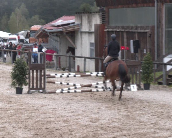Reitturnier Igls 2024