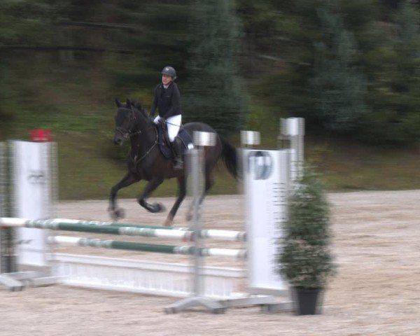 Reitturnier Igls 2024