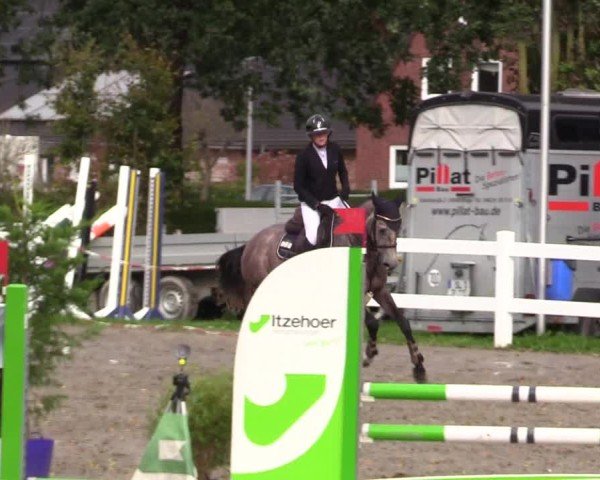 Reitturnier Mildstedt - Jumping Team Nord - 2024