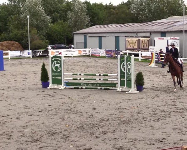 Reitturnier Mildstedt - Jumping Team Nord - 2024