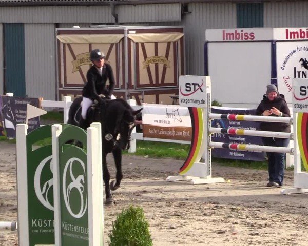 Reitturnier Mildstedt - Jumping Team Nord - 2024