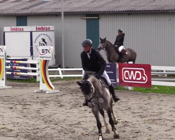 Reitturnier Mildstedt - Jumping Team Nord - 2024
