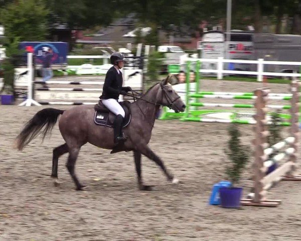 Reitturnier Mildstedt - Jumping Team Nord - 2024