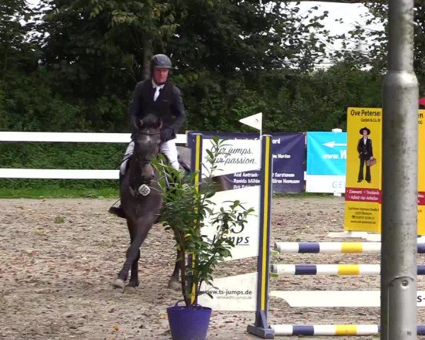 Reitturnier Mildstedt - Jumping Team Nord - 2024