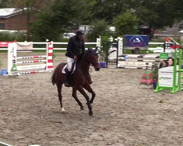 Reitturnier Mildstedt - Jumping Team Nord - 2024