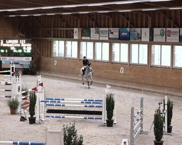Reitturnier Rüti 2021