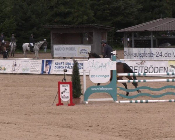 Reitturnier Ranshofen - Braunau am Inn 2024