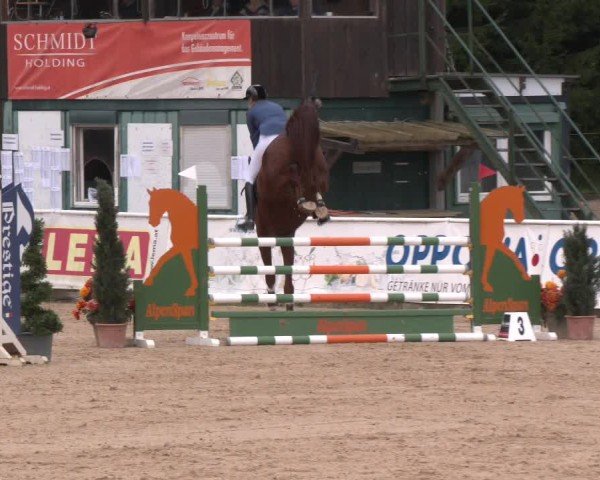 Reitturnier Ranshofen - Braunau am Inn 2024