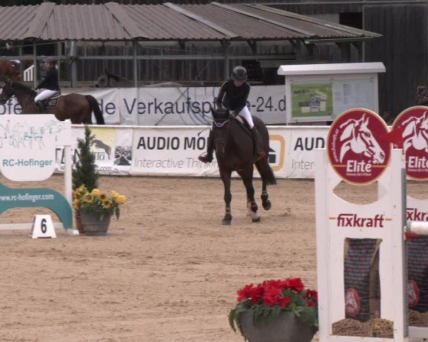 Reitturnier Ranshofen - Braunau am Inn 2024