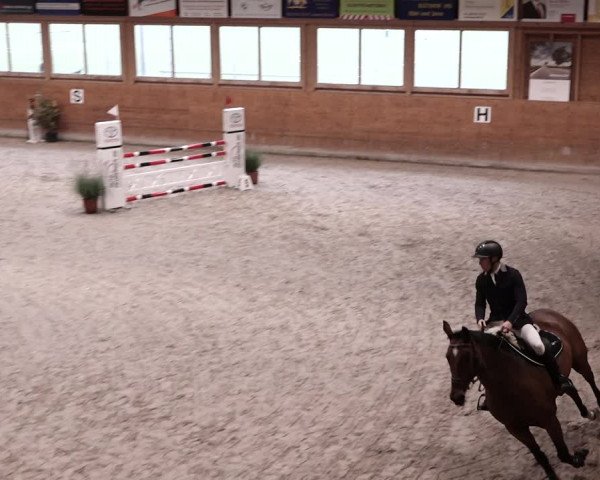 Reitturnier Rüti 2021
