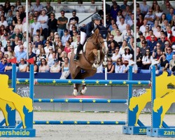jumper Luisa (Irish Sport Horse, 2018, from Luidam)