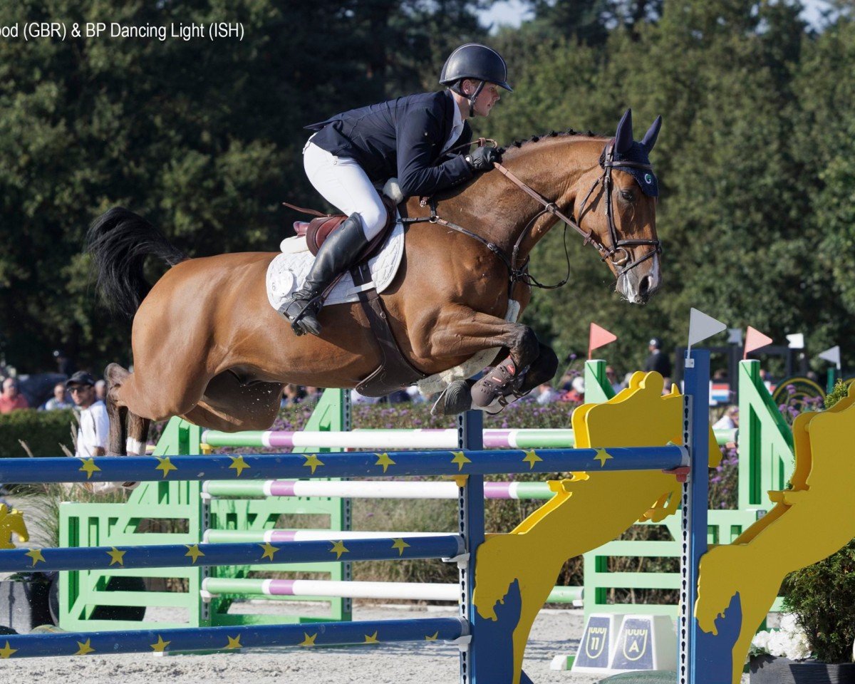 Springpferd Bp Dancing Light (Irish Sport Horse, 2018, von Cinsey)