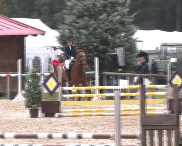 Reitturnier Igls 2024