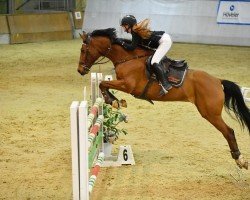 jumper Chocolino 4 (Bavarian, 2010, from Cinquecento 7)