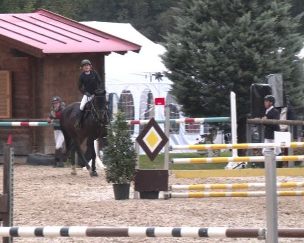 Reitturnier Igls 2024