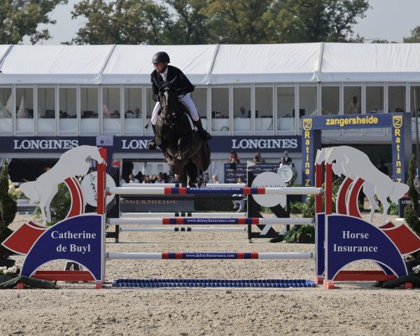 Springpferd Mendoza VDL (KWPN (Niederländisches Warmblut), 2017, von VDL Harley)