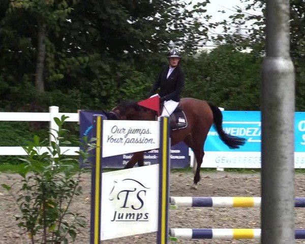 Reitturnier Mildstedt - Jumping Team Nord - 2024