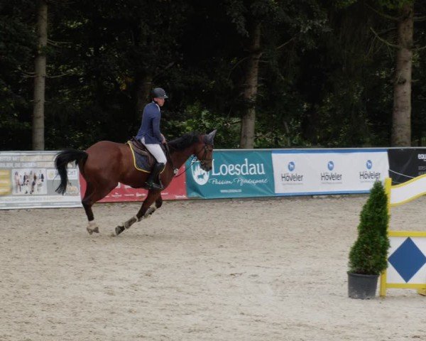Reitturnier Karlsfeld/Obb. 2024