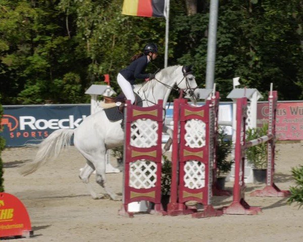 Reitturnier Karlsfeld/Obb. 2024