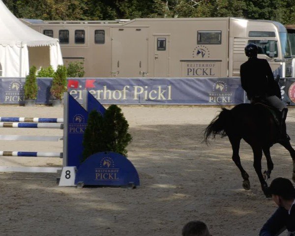 Reitturnier Karlsfeld/Obb. 2024