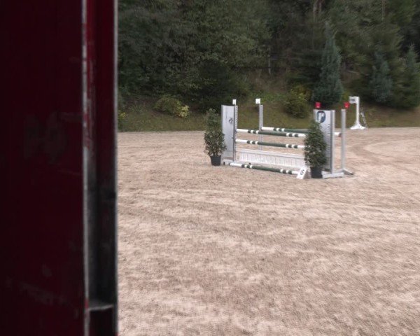 Reitturnier Igls 2024