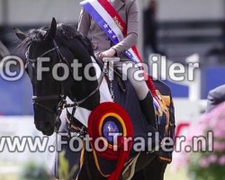 Springpferd Bonheur (KWPN (Niederländisches Warmblut), 2006, von Riverman)
