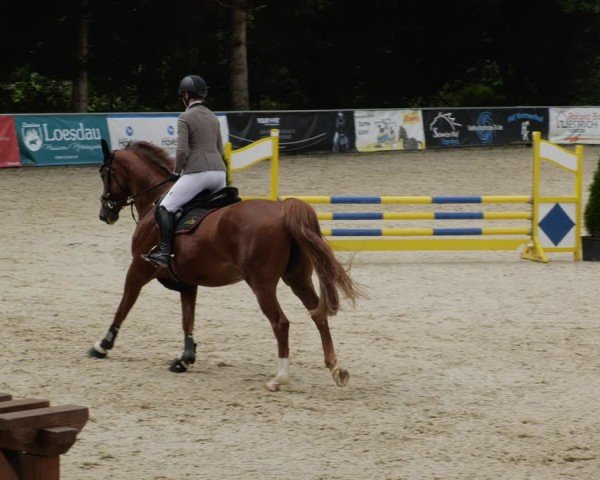 Reitturnier Karlsfeld/Obb. 2024