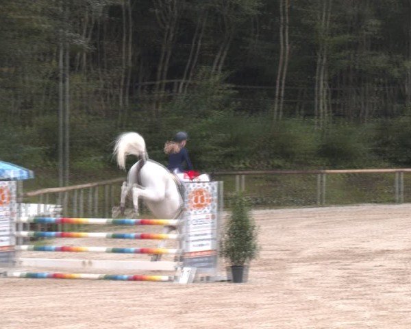 Reitturnier Igls 2024