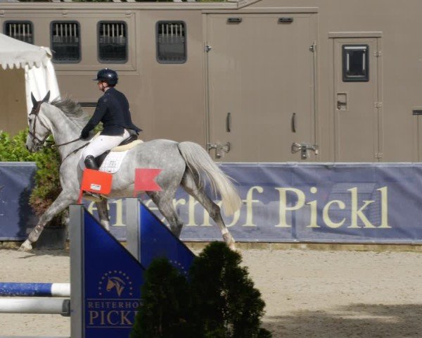 Reitturnier Karlsfeld/Obb. 2024