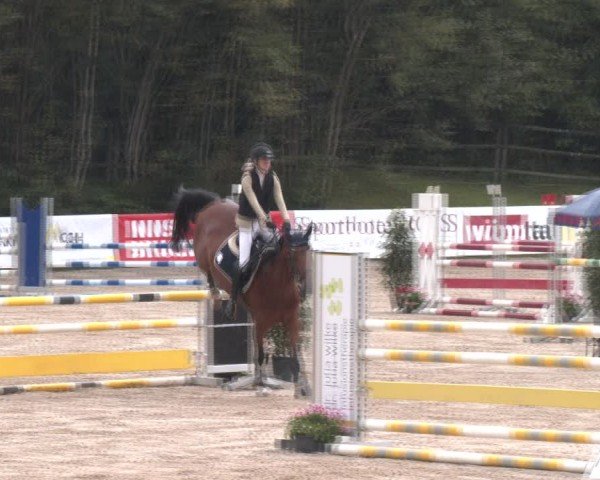 Reitturnier Igls 2024