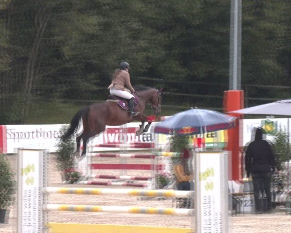 Reitturnier Igls 2024