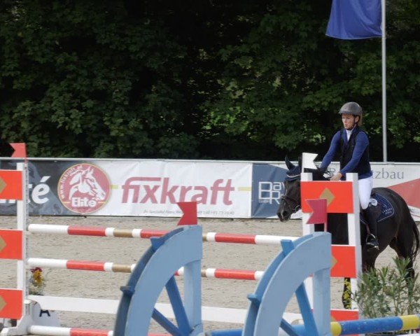 Reitturnier Karlsfeld/Obb. 2024