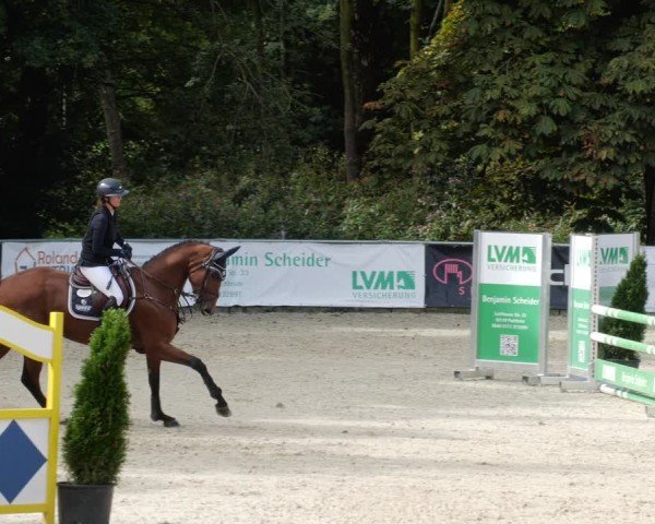 Reitturnier Karlsfeld/Obb. 2024