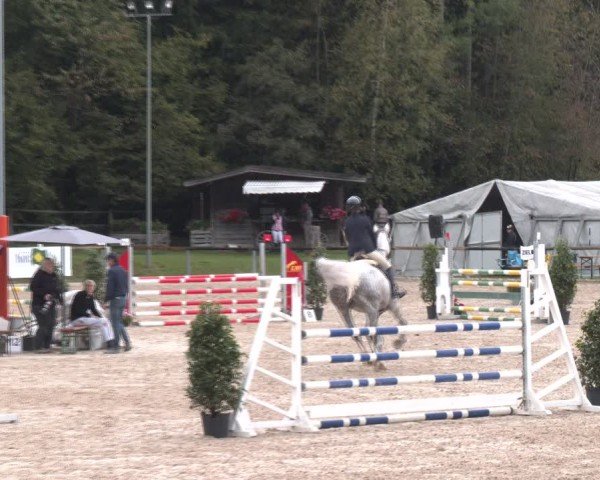 Reitturnier Igls 2024
