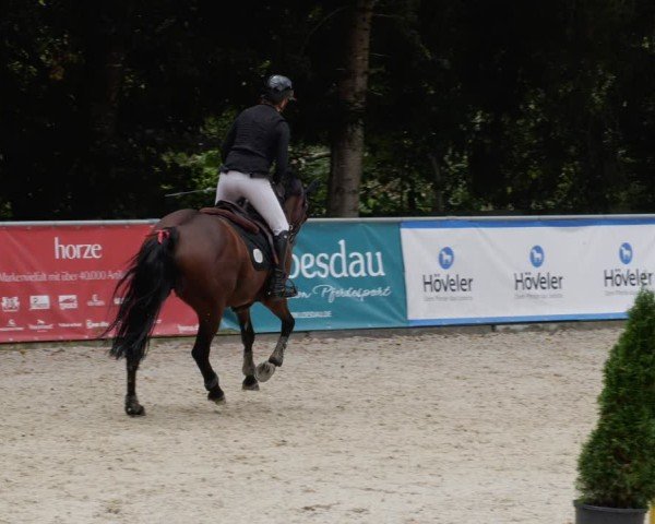 Reitturnier Karlsfeld/Obb. 2024