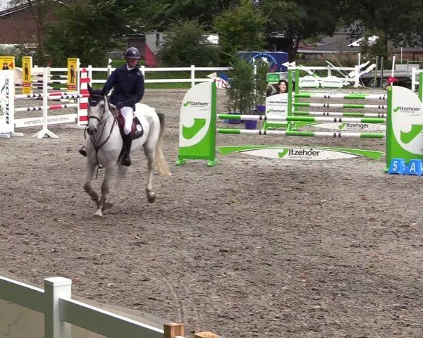 Reitturnier Mildstedt - Jumping Team Nord - 2024