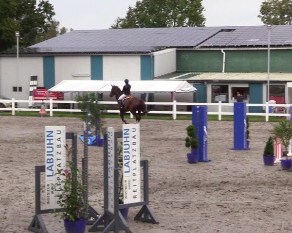 Reitturnier Mildstedt - Jumping Team Nord - 2024