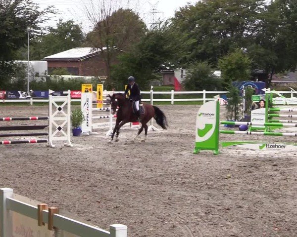 Reitturnier Mildstedt - Jumping Team Nord - 2024