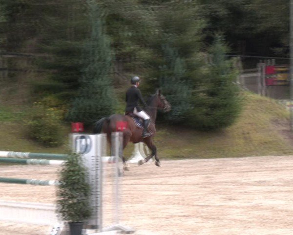Reitturnier Igls 2024