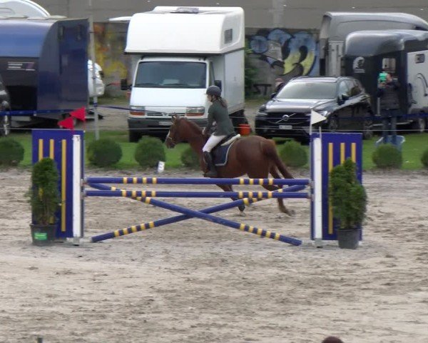 Reitturnier Basel 2024