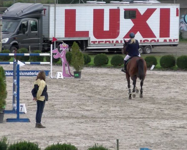 Reitturnier Basel 2024